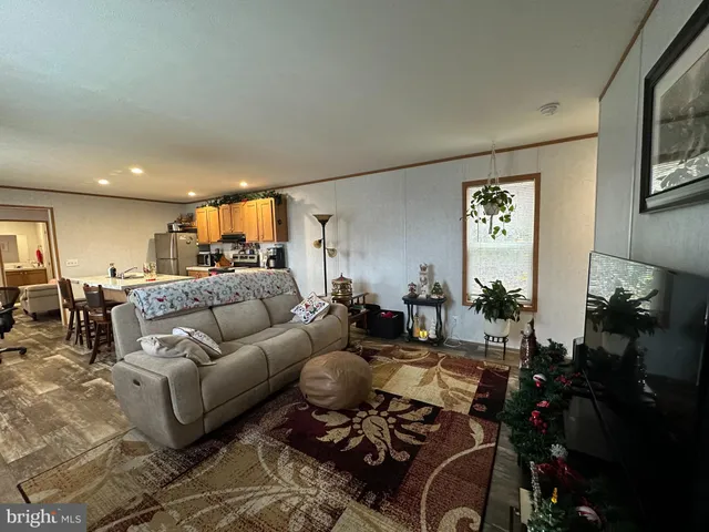 a living room with furniture potted plant and glass windows