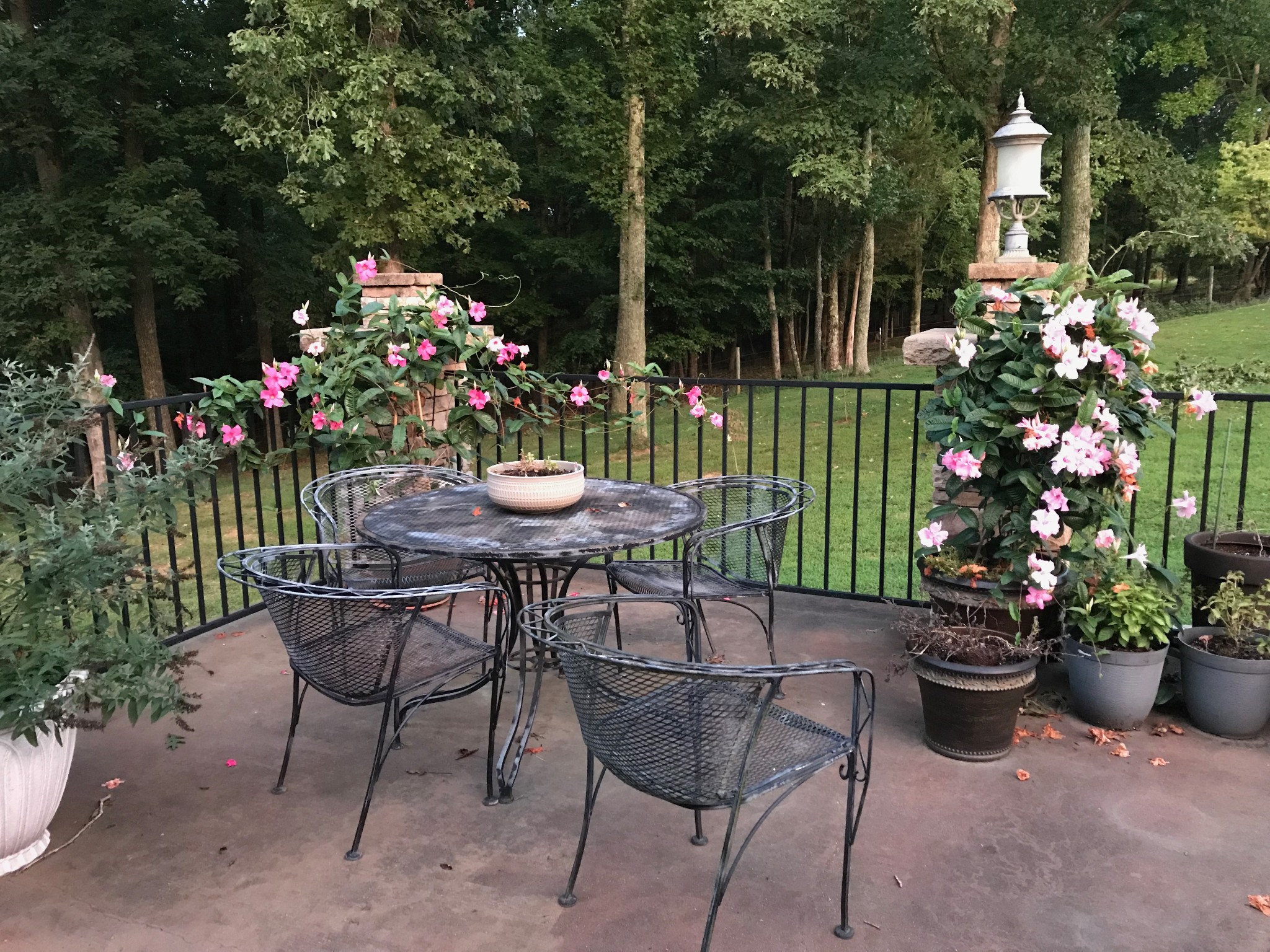 2164 Liebengood Road Goodlettsville, TN 37072 - Photo 65 of 69 Gallery Image 65