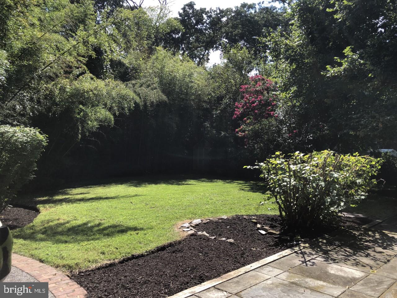 1519 Long Point Road Pasadena, MD 21122 - Photo 5 of 42 Backyard view