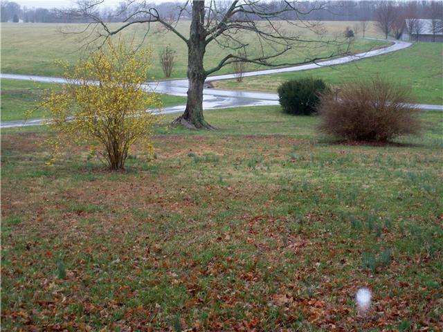 6364 Hopewell Road Springfield, TN 37172 - Photo 5 of 20 Front Porch View