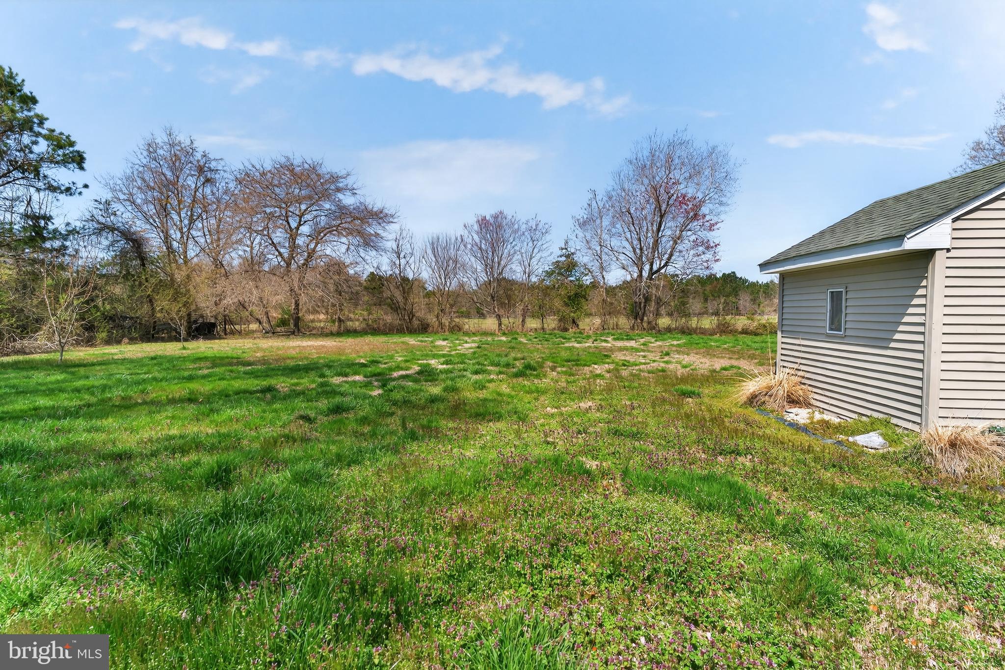 13690 Bobtown Road Princess Anne, MD 21853 - Photo 24 of 29