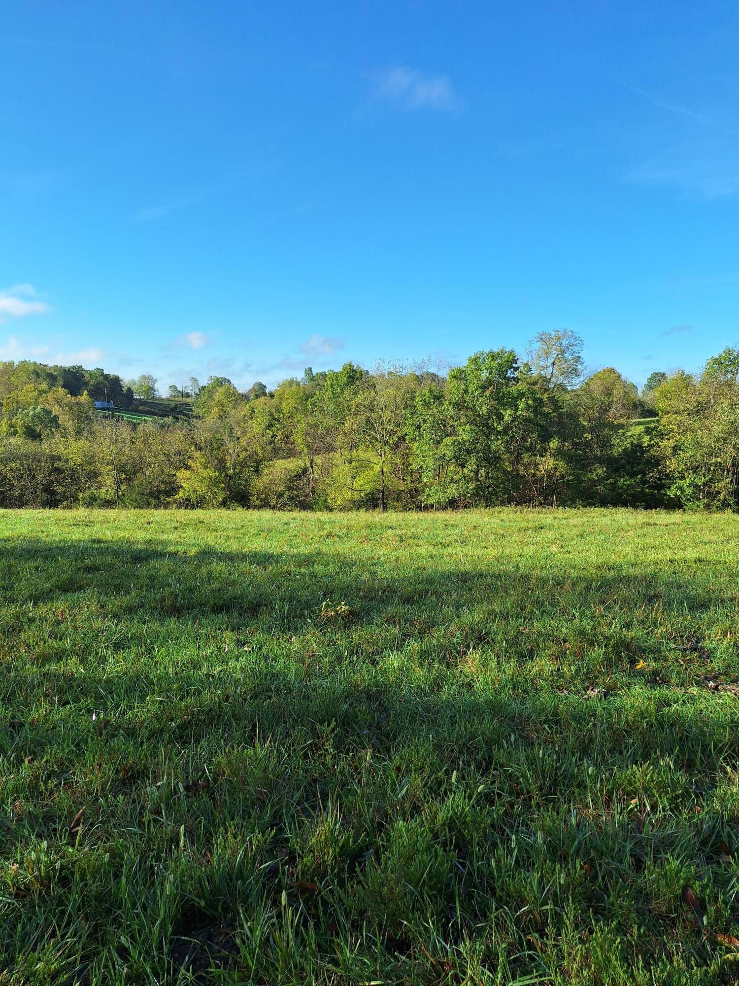 0 Casey Mill Road Berry, KY 41003 - Photo 12 of 28 Gallery Image 12