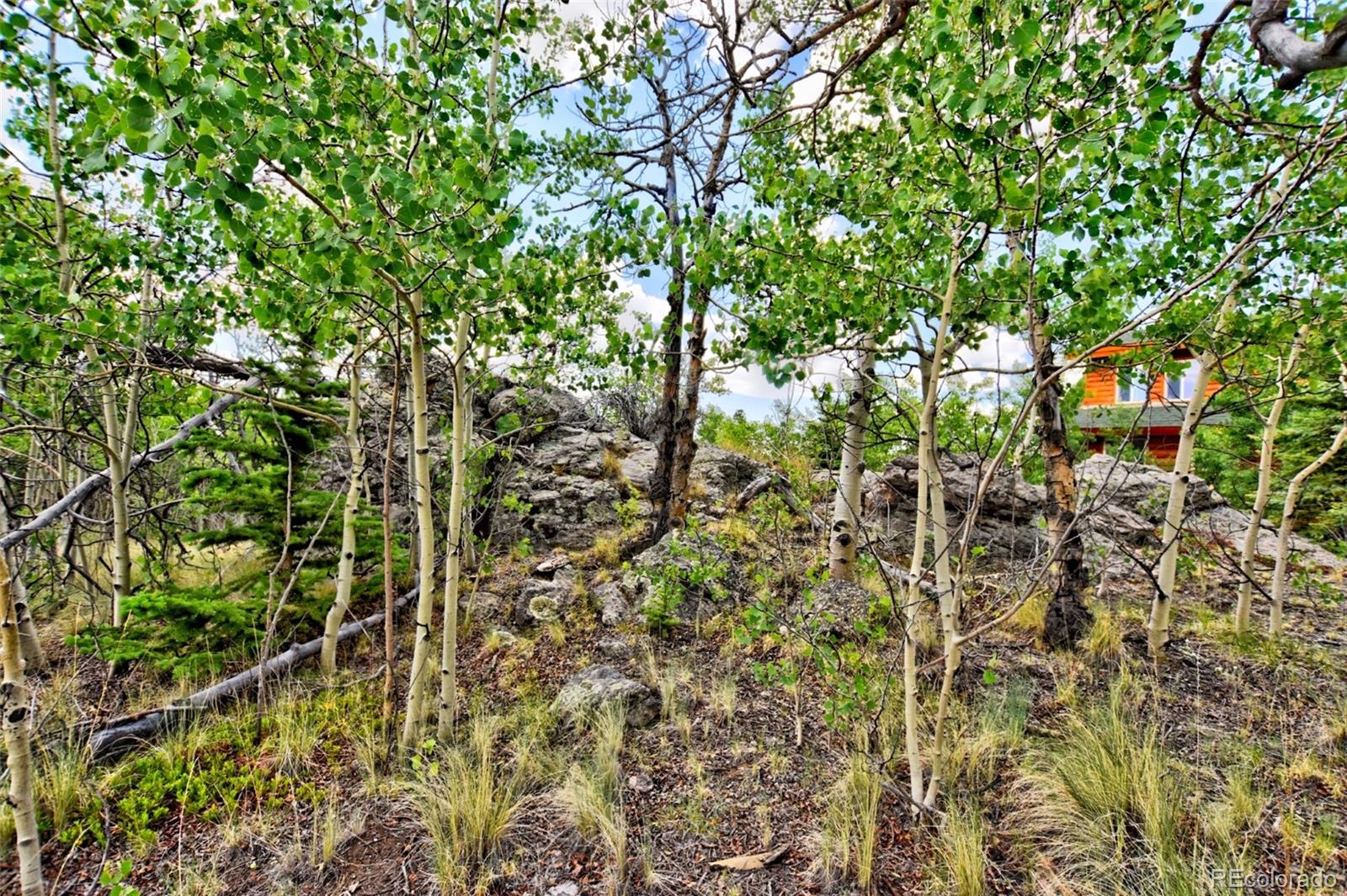 0 Ignacio Way Como, CO 80456 - Photo 3 of 11 Gallery Image 3