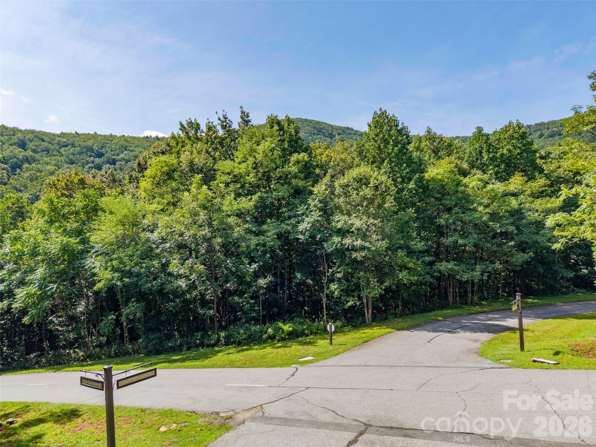 0 Deep Gap Farm Road East, Unit 2061 Mill Spring, NC 28756 - Photo 5 of 10 Gallery Image 5