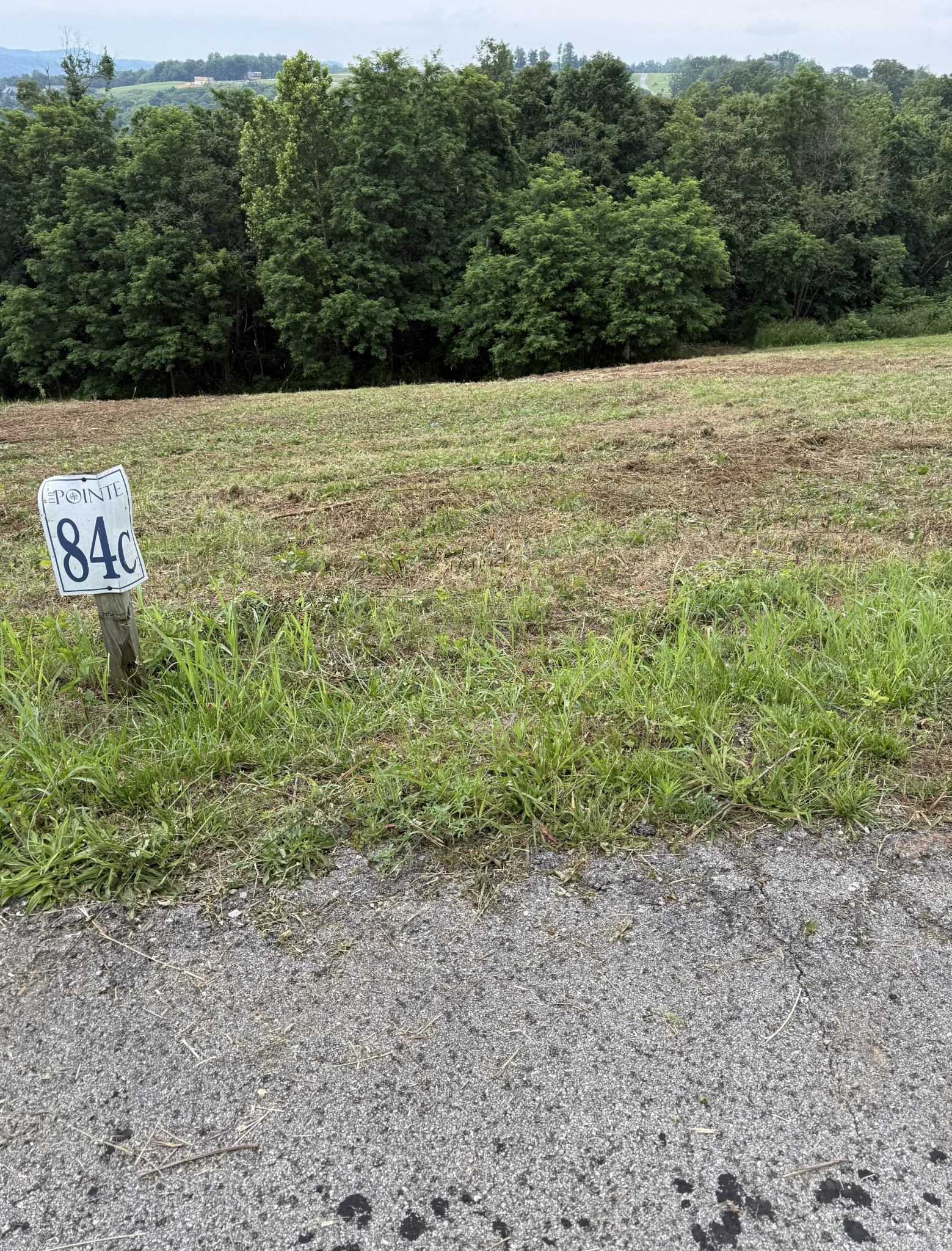 0 Mallard Road Celina, TN 38551 - Photo 6 of 18