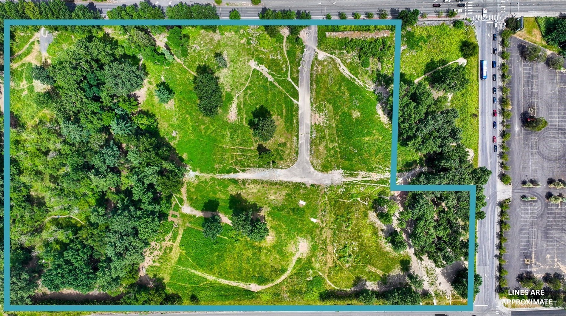 0 East Bakerview Road Bellingham, WA 98226 - Photo 2 of 8 a view of a yard with plants
