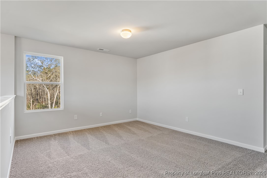 327 Happy Trail Road Raeford, NC 28376 - Photo 18 of 32 Gallery Image 18