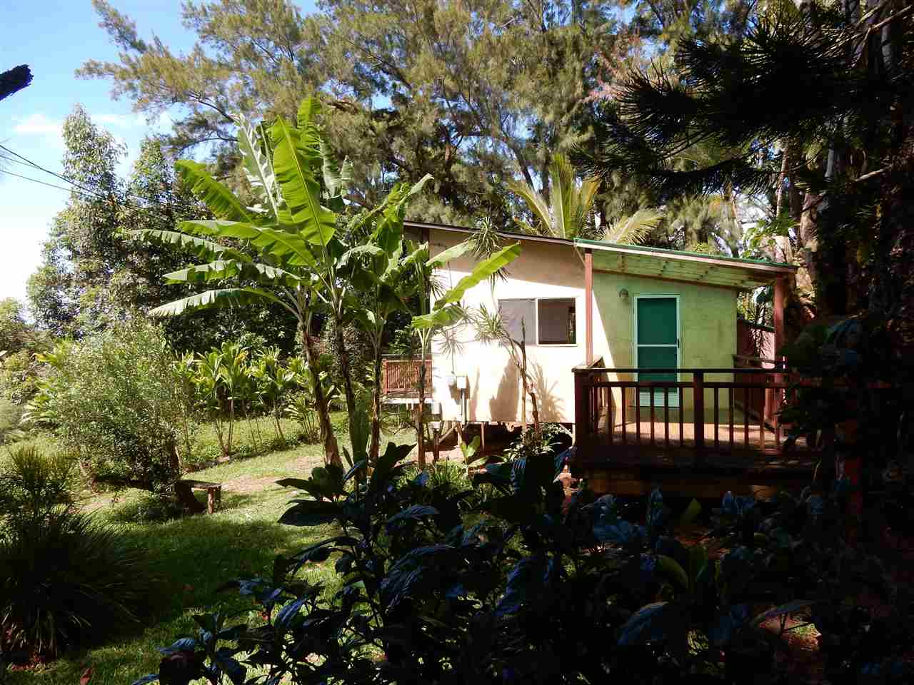 a view of a house with a tree