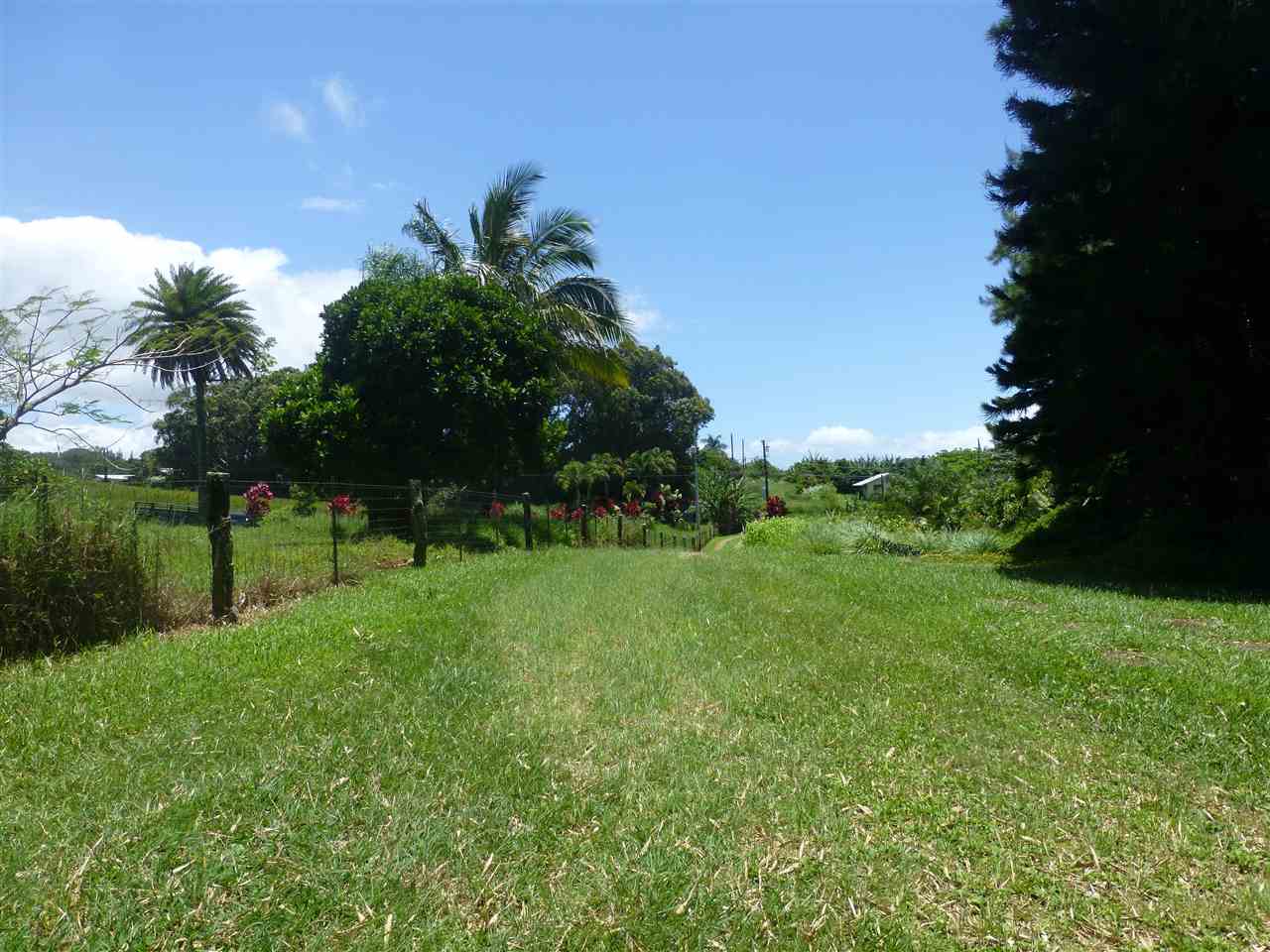 1661 West Kuiaha Road Haiku, HI 96708 - Photo 2 of 16 a view of a garden