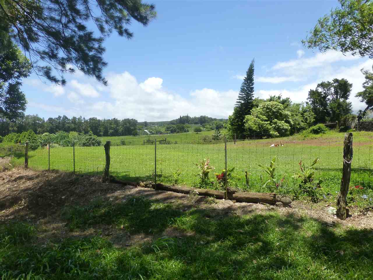 1661 West Kuiaha Road Haiku, HI 96708 - Photo 5 of 16 a view of a park