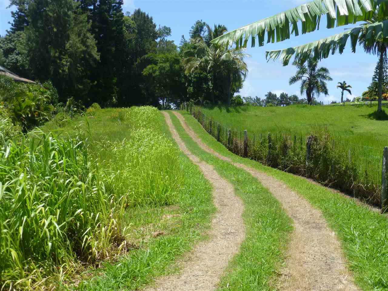 1661 West Kuiaha Road Haiku, HI 96708 - Photo 6 of 16 a view of a garden with a lake