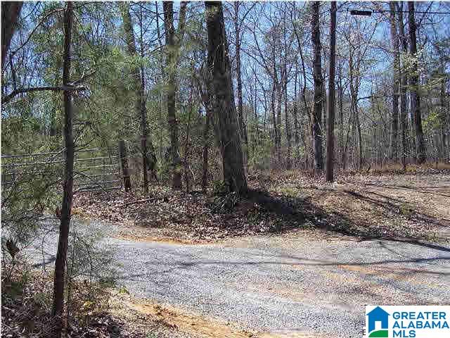 0 Homestead Lane Remlap, AL 35133 - Photo 23 of 23