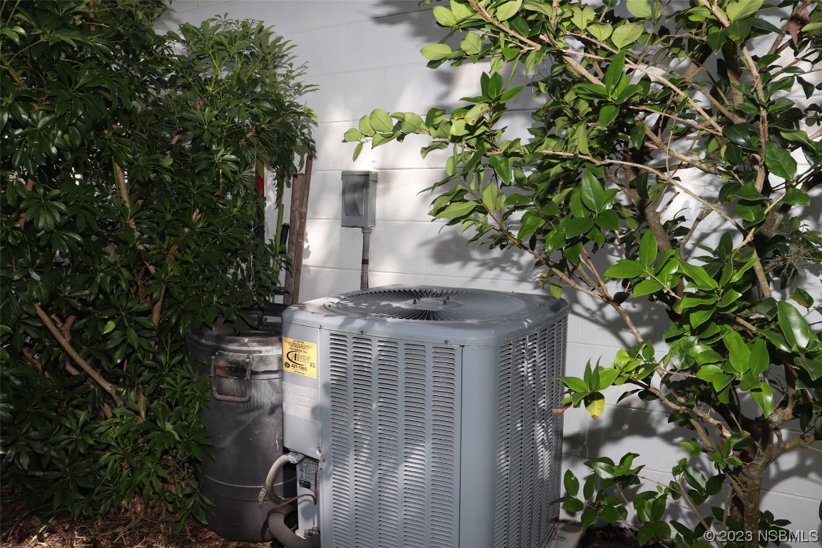 10 Raintree Drive Port Orange, FL 32127 - Photo 24 of 31 a picture of plants