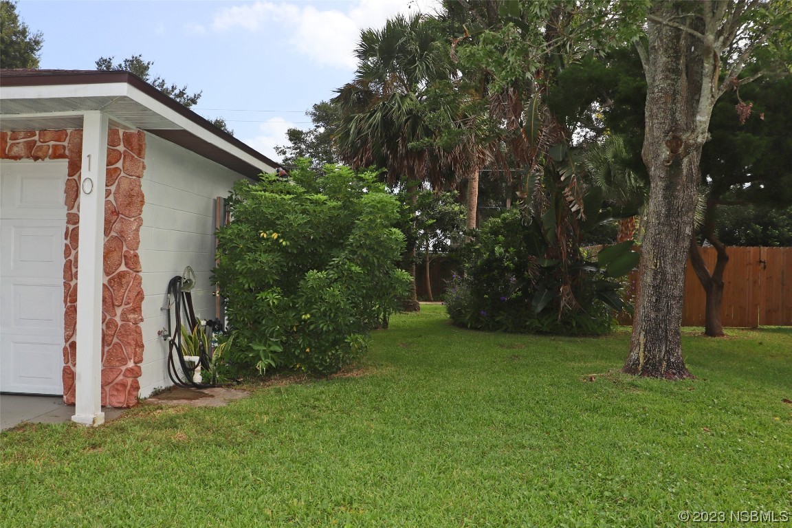 10 Raintree Drive Port Orange, FL 32127 - Photo 25 of 31 a view of a backyard with plants and a large tree