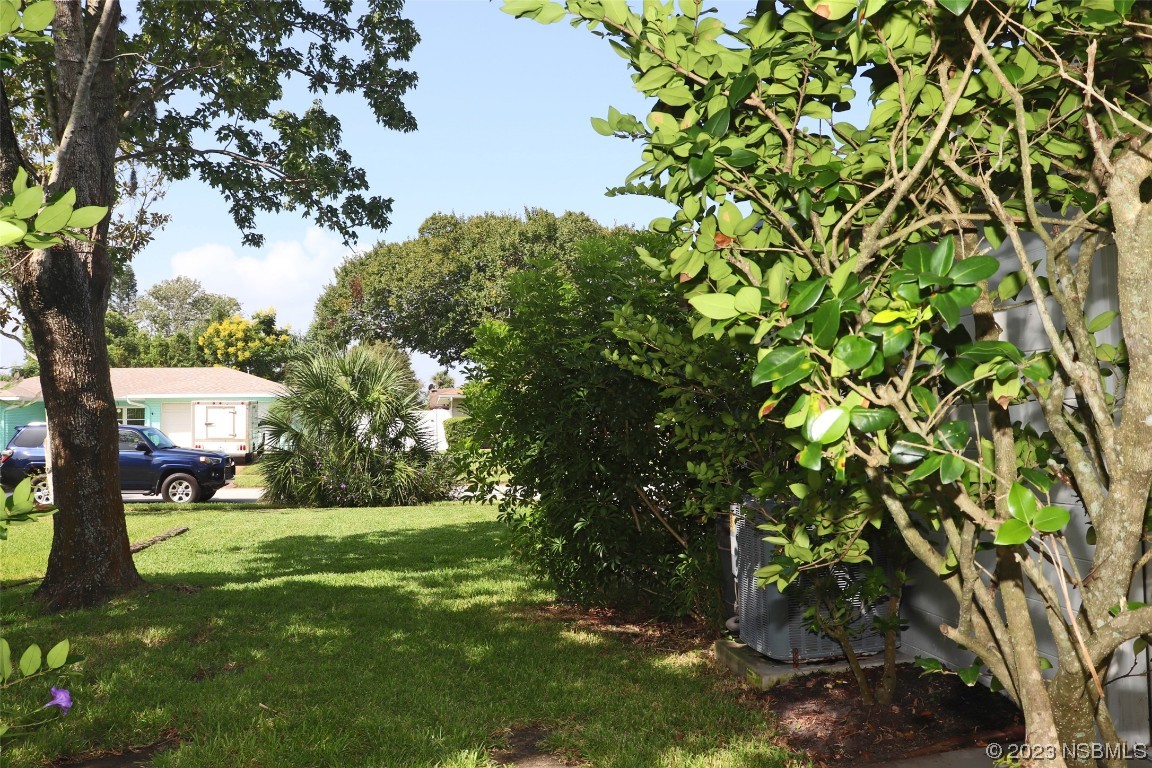 10 Raintree Drive Port Orange, FL 32127 - Photo 28 of 31 a view of a yard with a tree