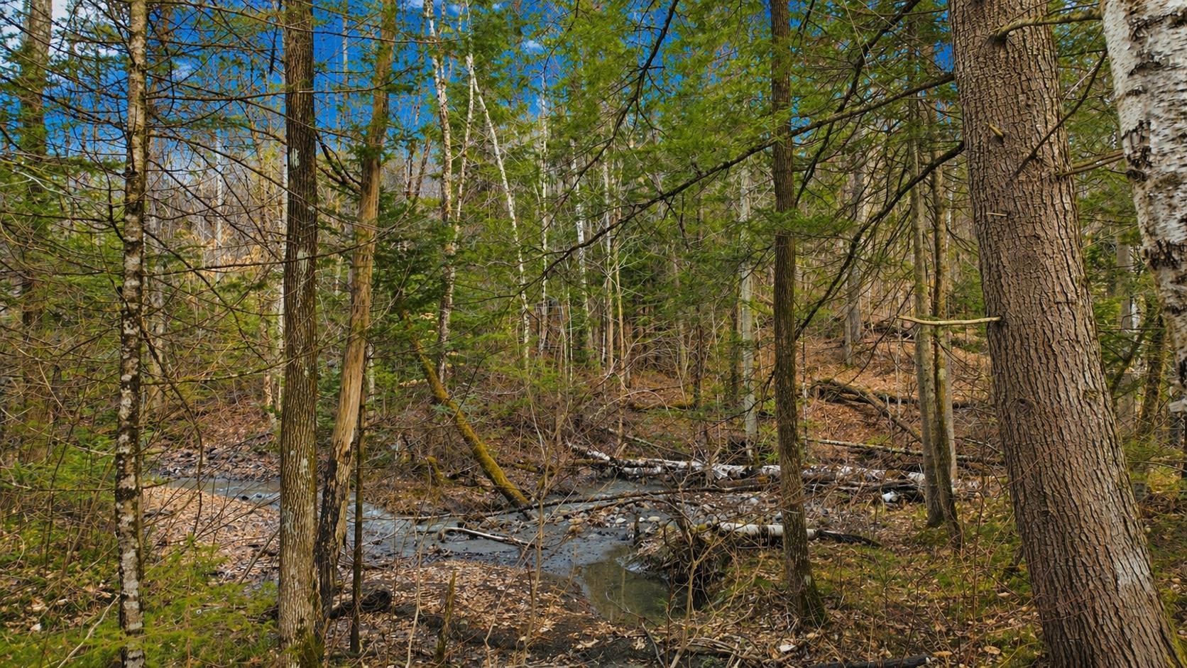 438 Old Bradley Road St. Johnsbury, VT 05819 - Photo 24 of 36