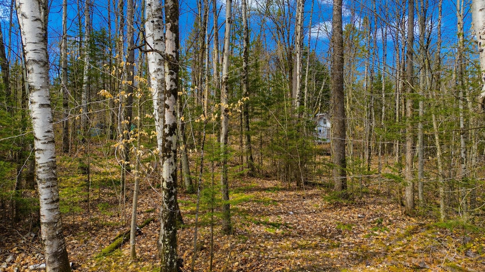438 Old Bradley Road St. Johnsbury, VT 05819 - Photo 33 of 36