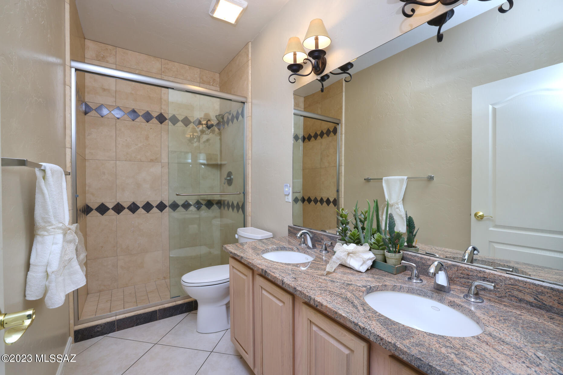 153 West Red Pepper Place Oro Valley, AZ 85755 - Photo 38 of 43