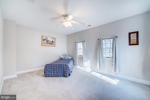 a view of a yard with plants and trees