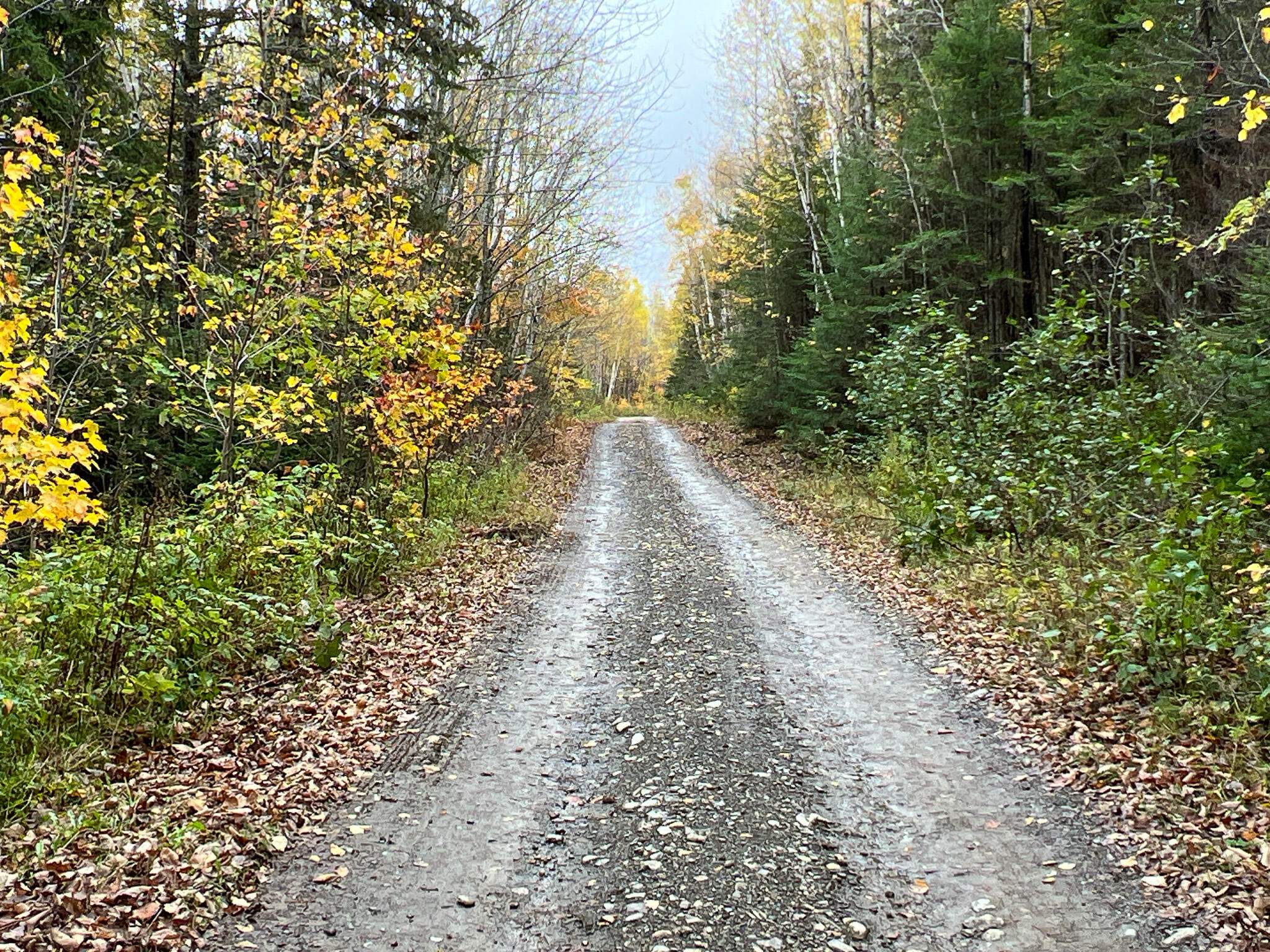 Lot 4 Nelson Road Oakfield, ME 04763 - Photo 15 of 19 Photo Oct 16 2023, 12 53 00 PM