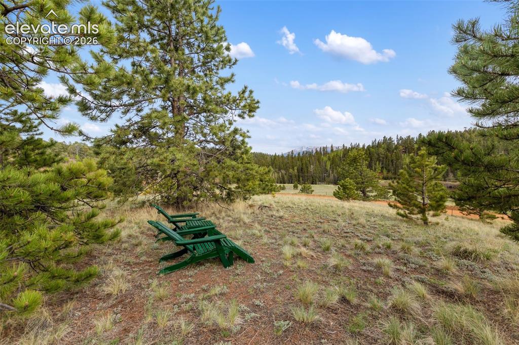 996 Spring Valley Drive Divide, CO 80814 - Photo 6 of 47