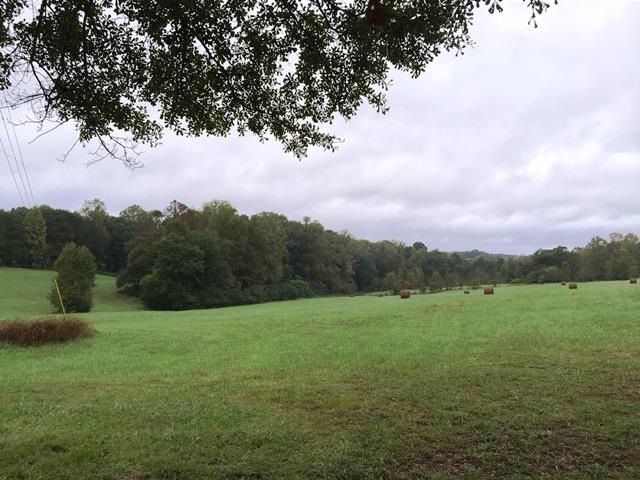 20.22-acres Friendship Valley Road Seneca, SC 29678 - Photo 4 of 8 Gallery Image 4