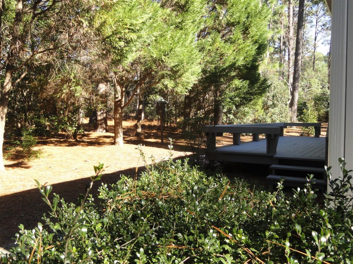 155 Lake Hills Road Pinehurst, NC 28374 - Photo 22 of 24 backyard