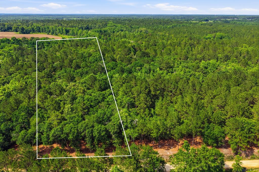 Lot #2 Crosby Clark Road Opp, AL 36467 - Photo 1 of 8 Main View