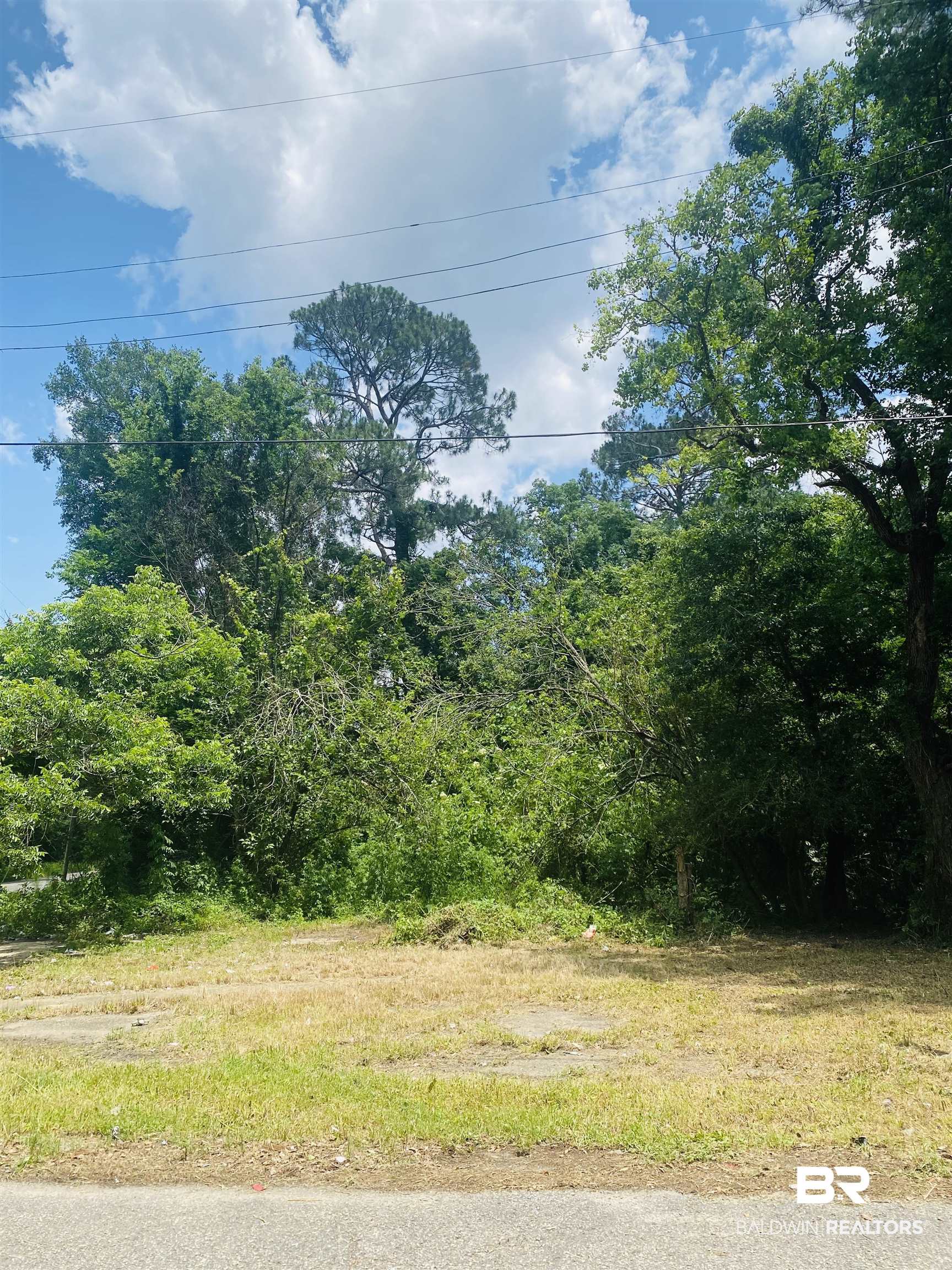 421 West Foch Street Mobile, AL 36610 - Photo 2 of 13
