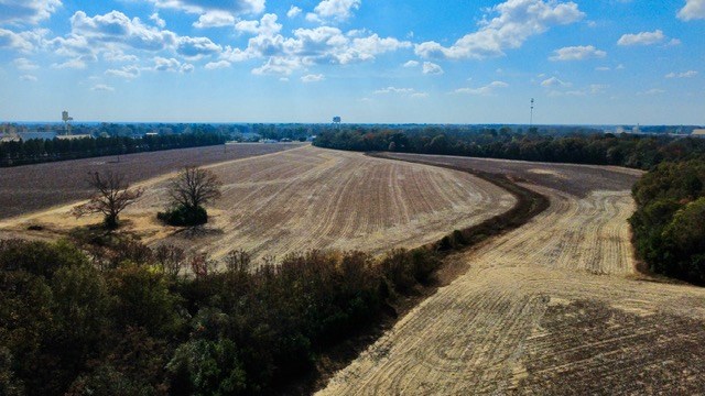 Undisclosed Address Headland, AL 36345 - Photo 14 of 36