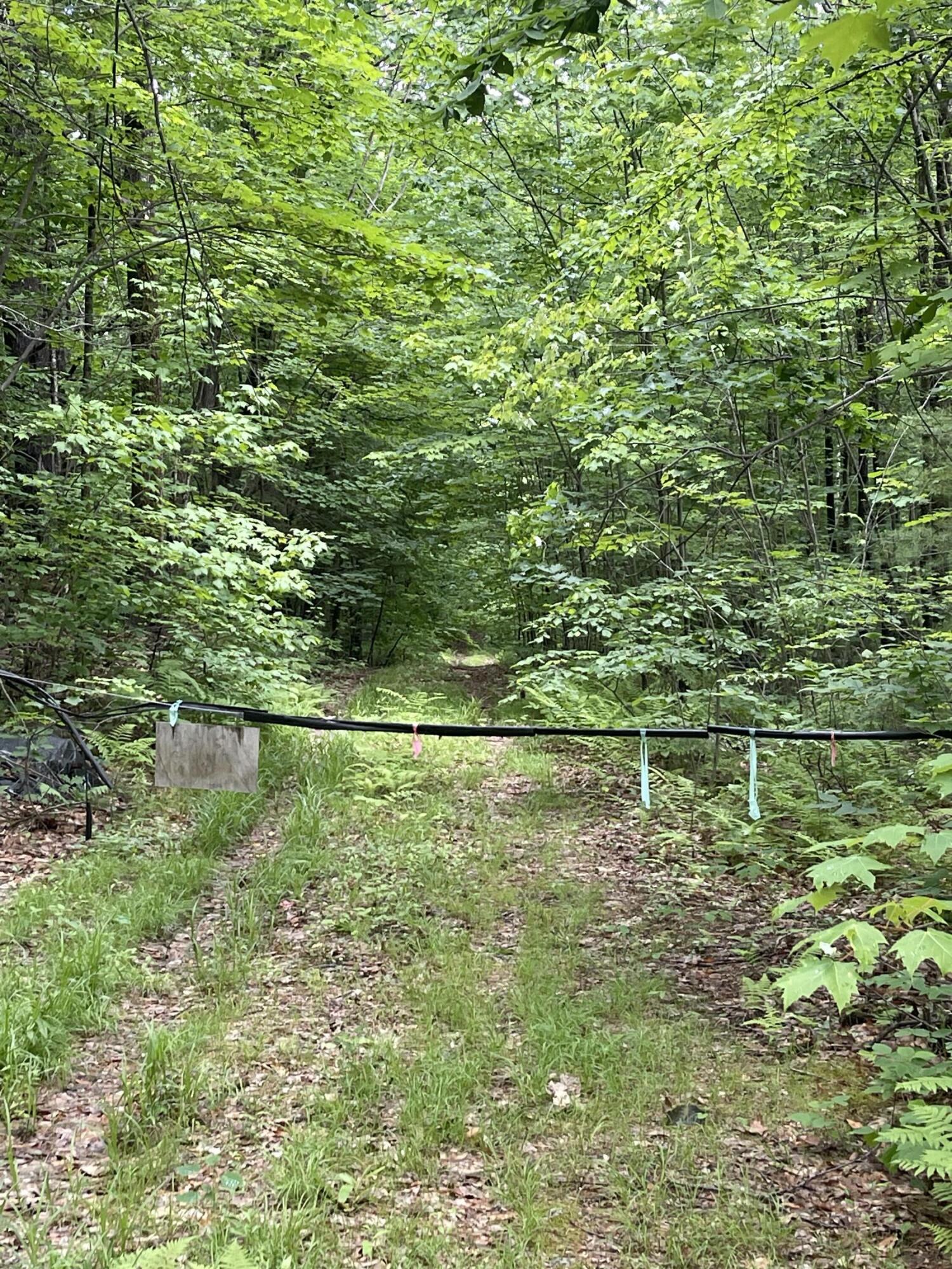 0 Ross Corner Road Shapleigh, ME 04076 - Photo 4 of 6 IMG_3936