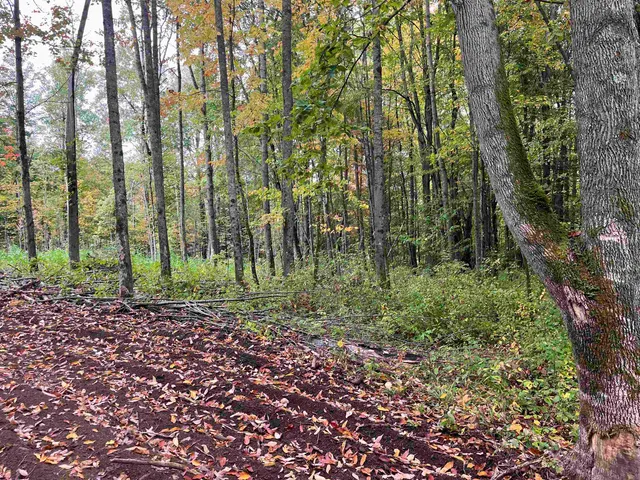 $39,900 | 2 Duck Pond Road, Unit LOT #2, Barton, VT 05822