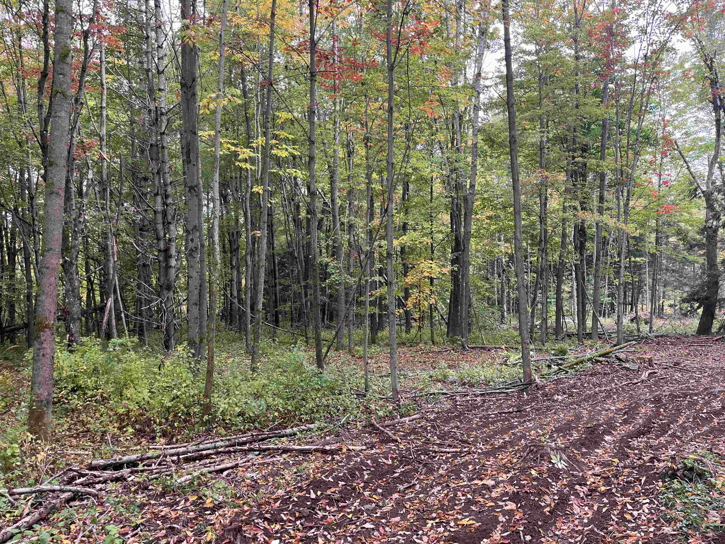 2 Duck Pond Road, Unit LOT #2 Barton, VT 05822 - Photo 5 of 6