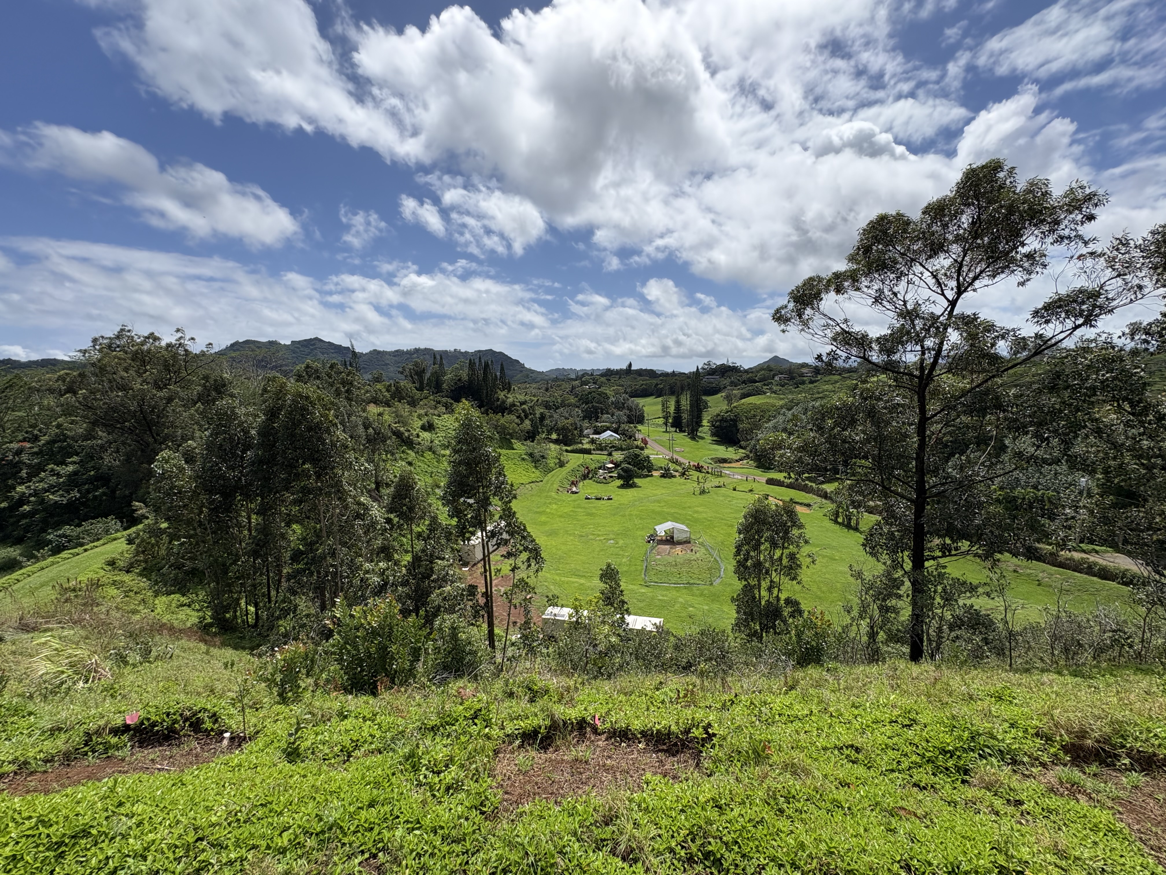 6630 Kipapa Road Kapaa, HI 96746 - Photo 4 of 20 a view of a garden with a building