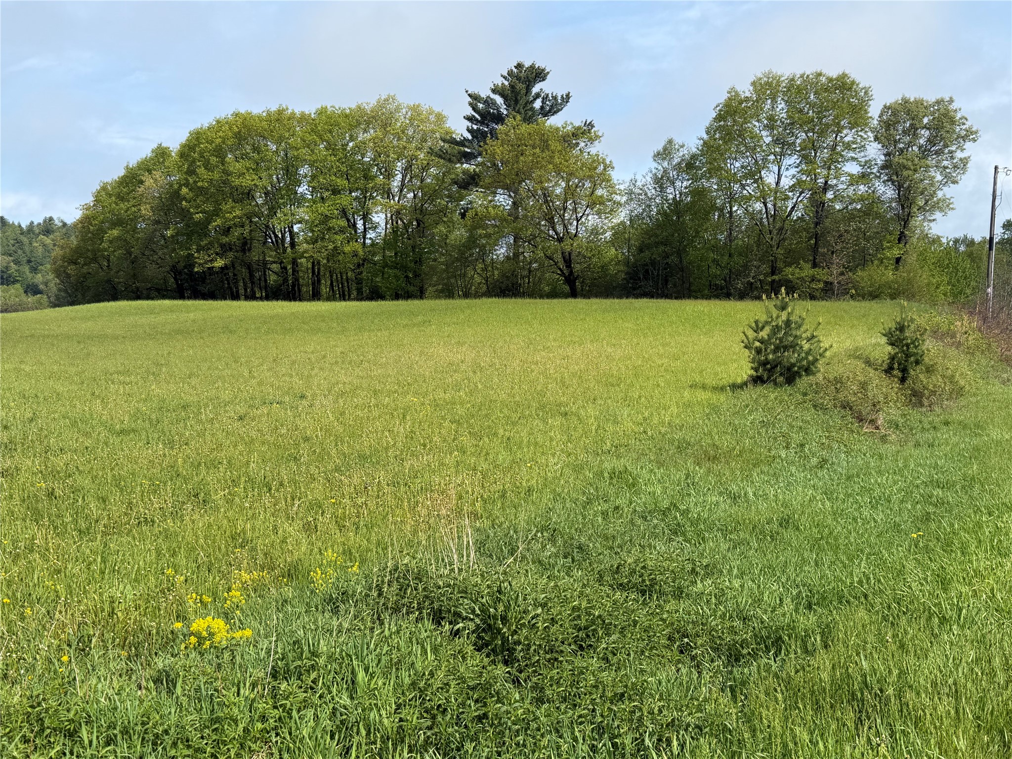 Lot 1 Carol Road Merrillan, WI 54754 - Photo 2 of 9