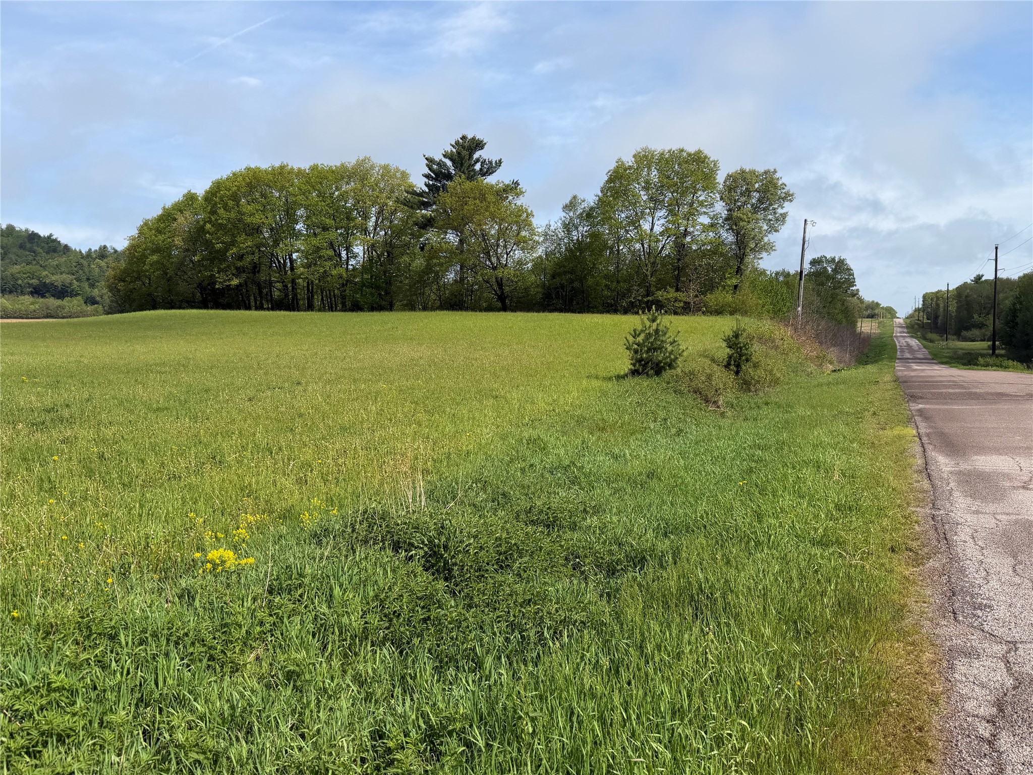 Lot 1 Carol Road Merrillan, WI 54754 - Photo 3 of 9