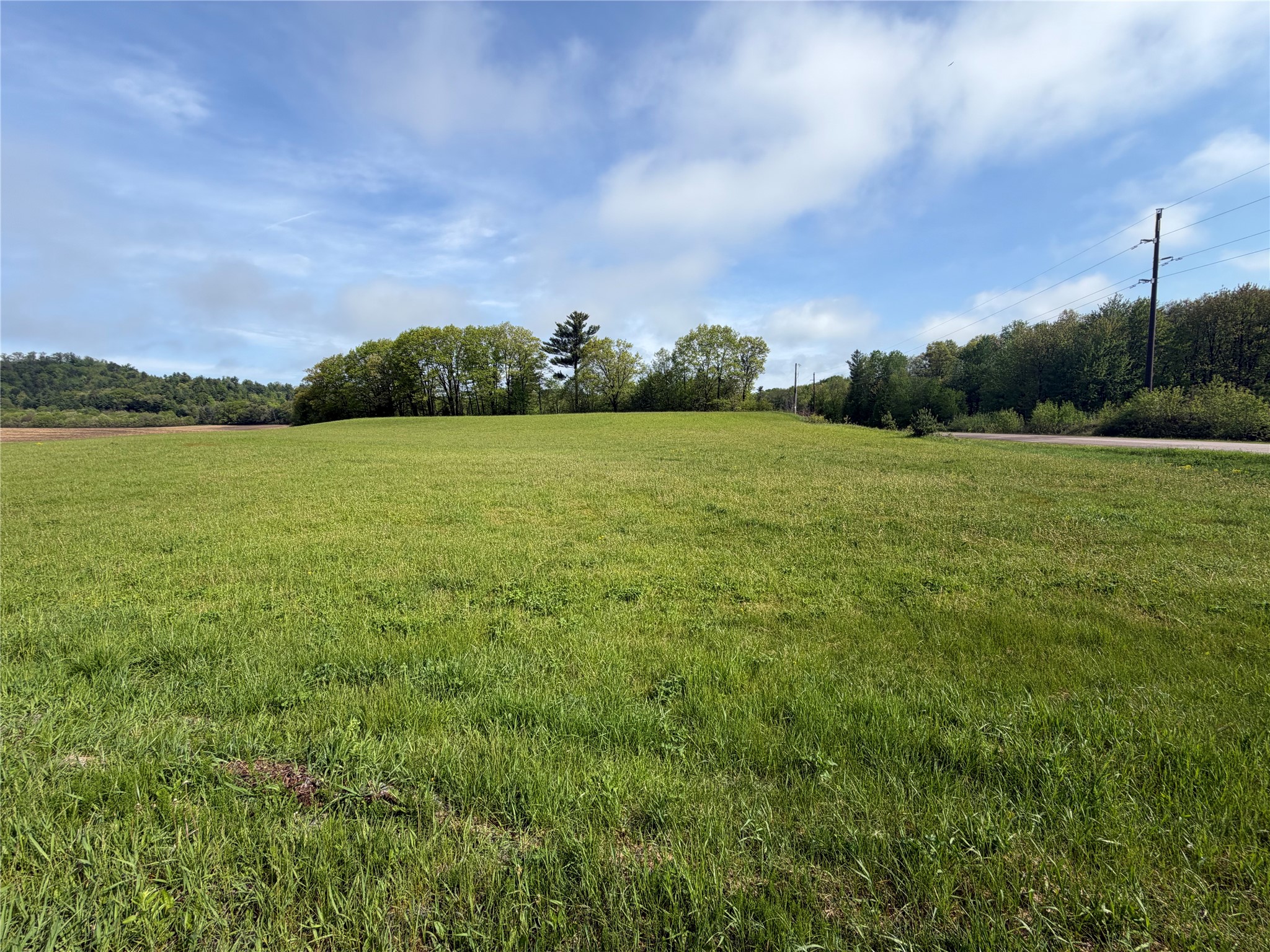 Lot 1 Carol Road Merrillan, WI 54754 - Photo 4 of 9