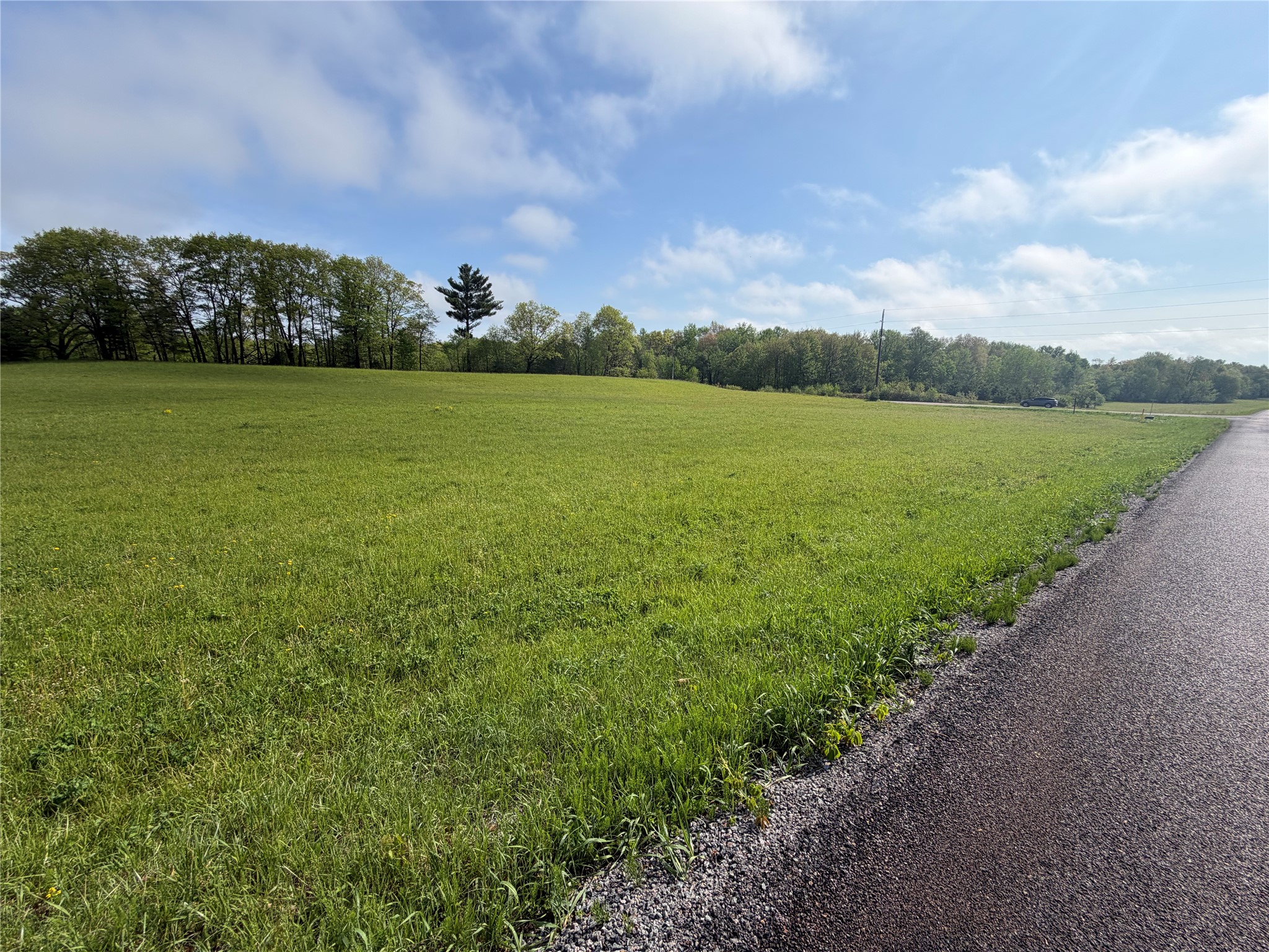 Lot 1 Carol Road Merrillan, WI 54754 - Photo 5 of 9