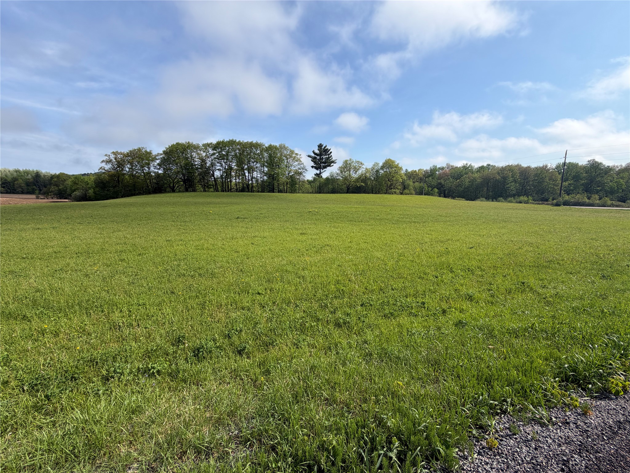 Lot 1 Carol Road Merrillan, WI 54754 - Photo 6 of 9