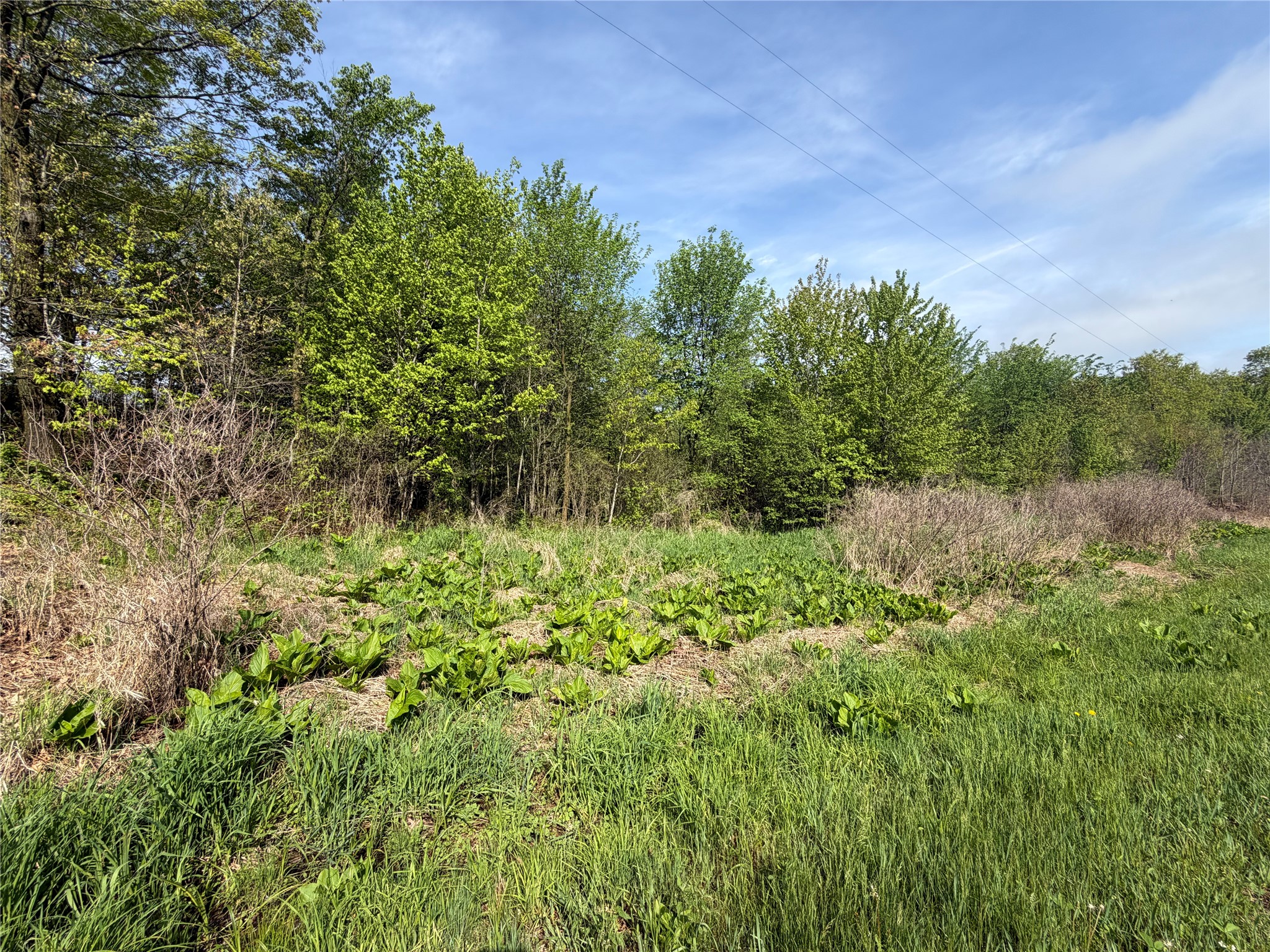 Lot 1 Carol Road Merrillan, WI 54754 - Photo 7 of 9