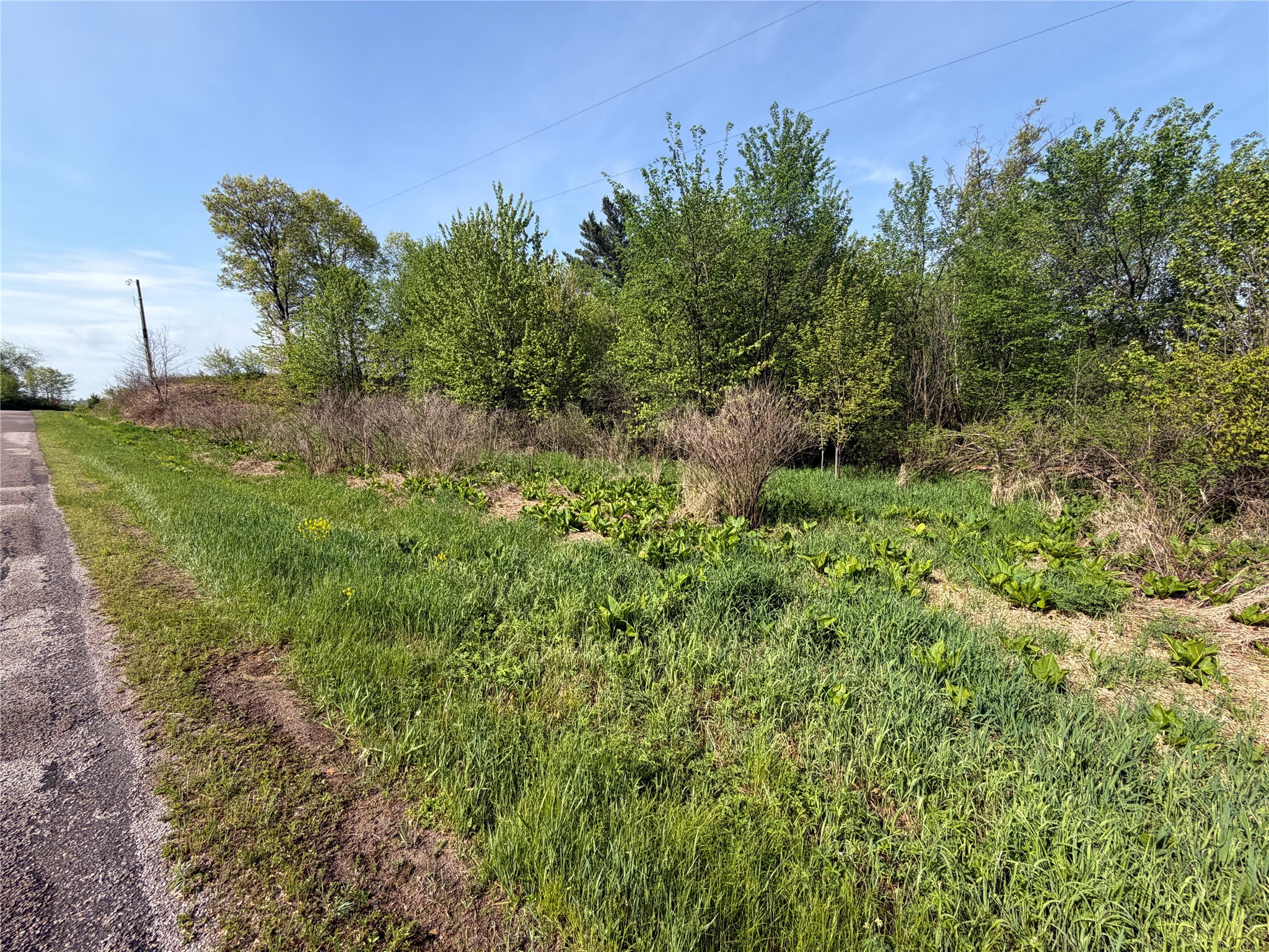 Lot 1 Carol Road Merrillan, WI 54754 - Photo 8 of 9