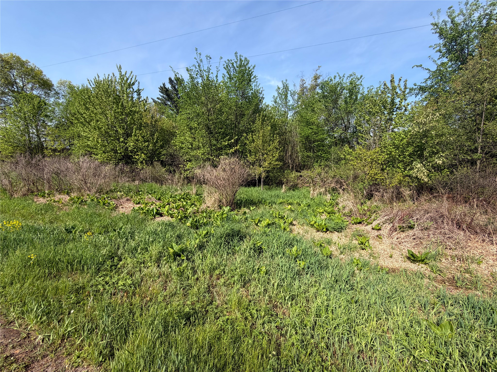 Lot 1 Carol Road Merrillan, WI 54754 - Photo 9 of 9