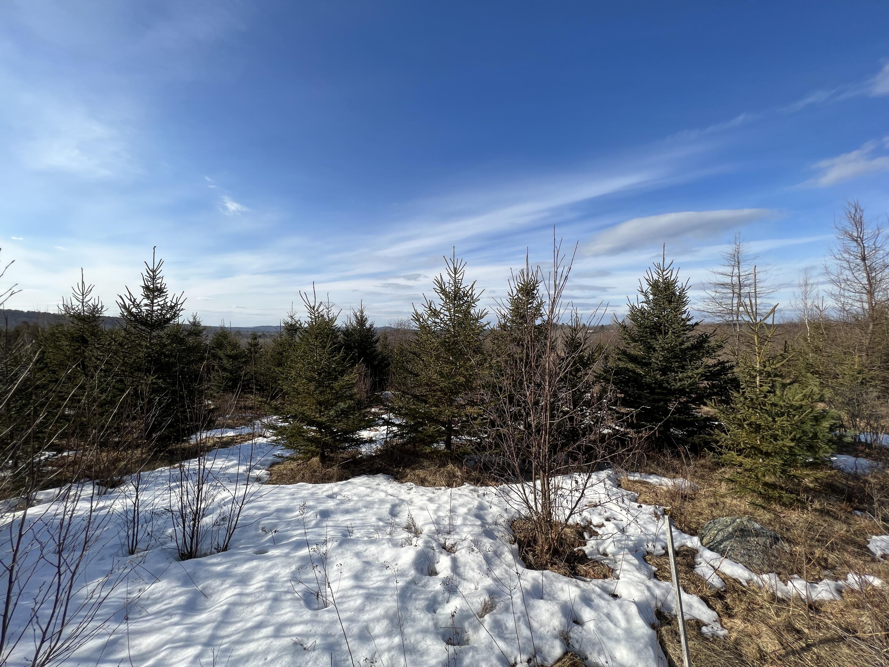 0 North Searsport Road Frankfort, ME 04438 - Photo 8 of 15 20220221_192519052_iOS