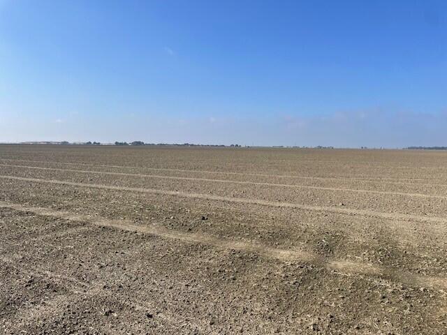 56 Rd Tulare Ca Tulare, CA 93274 - Photo 4 of 8 4