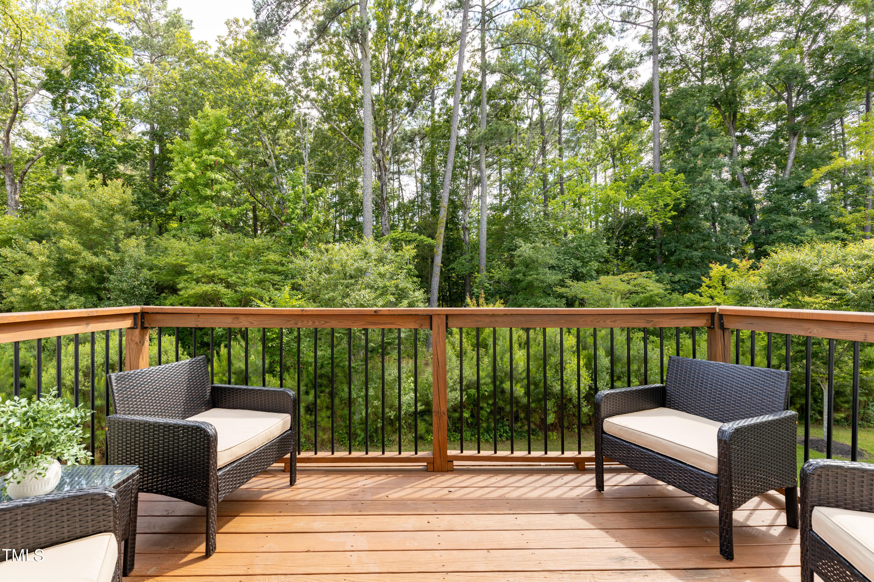 711 Edgewater Ridge Court Apex, NC 27523 - Photo 12 of 29 a view of a two chairs in the deck
