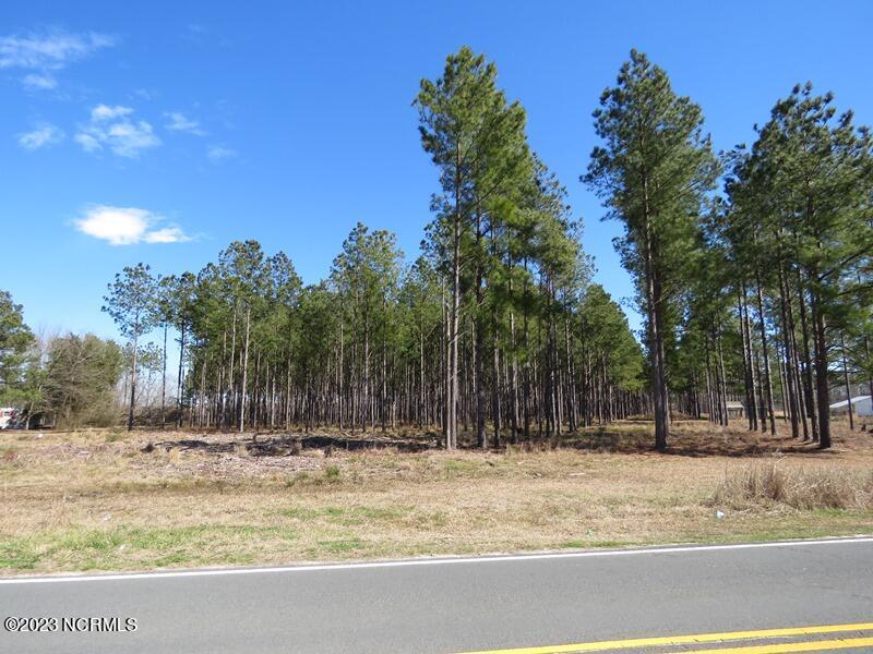 0 Atkinson Road Orrum, NC 28369 - Photo 5 of 9 5