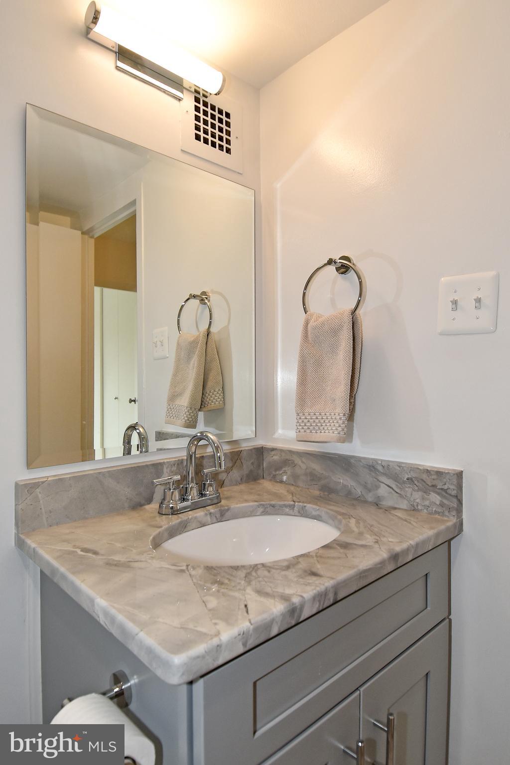 1301 South Arlington Ridge Road, Unit 308 Arlington, VA 22202 - Photo 23 of 45 New Vanity