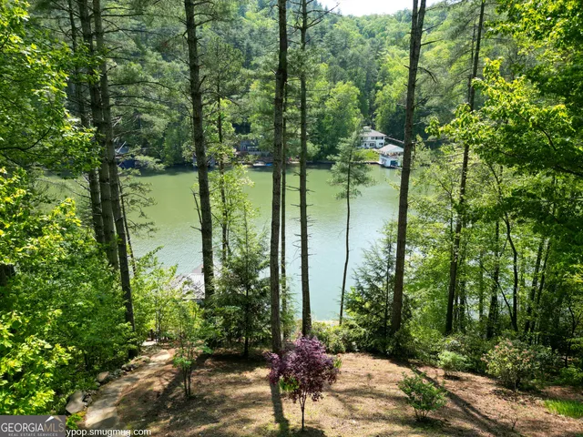 $3,300,000 | 513 Georgia Lane, Lakemont, GA 30552