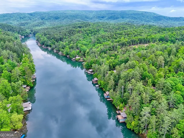 $3,300,000 | 513 Georgia Lane, Lakemont, GA 30552