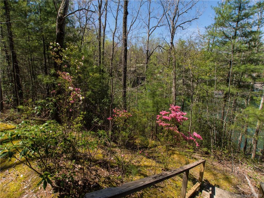 215 Picnic Point Road Lake Lure, NC 28746 - Photo 11 of 31 Gallery Image 11